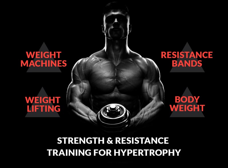 Hypertrophy Training - Hypertrophy Workout