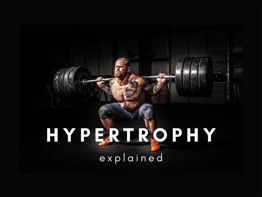 what is muscle hypertrophy